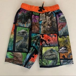 Jurassic World Multicolor Swim Shorts Size 10/12